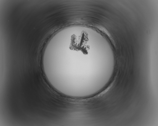 X0000088470922200706191345