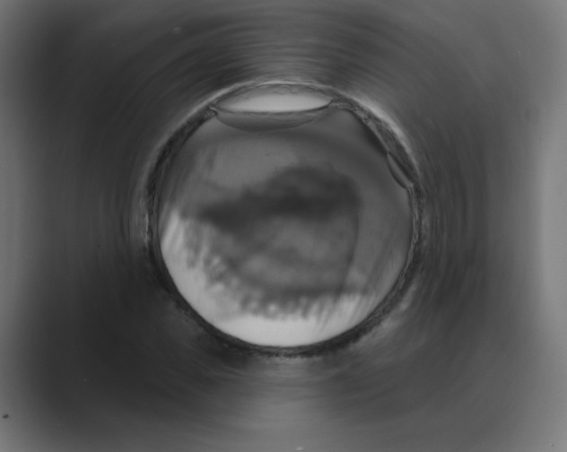 X0000088470925200706191345