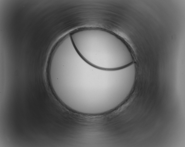 X0000088470928200706191345