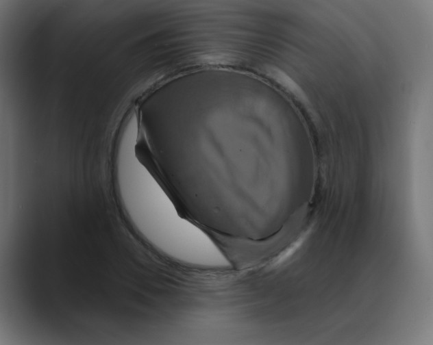 X0000088470930200706191345