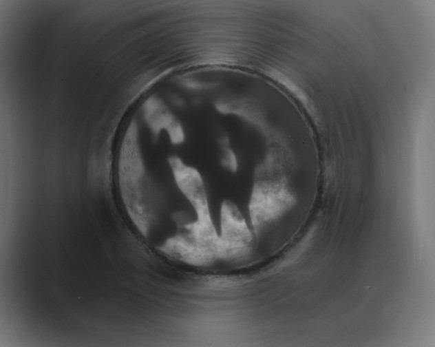 X0000088470933200706191345