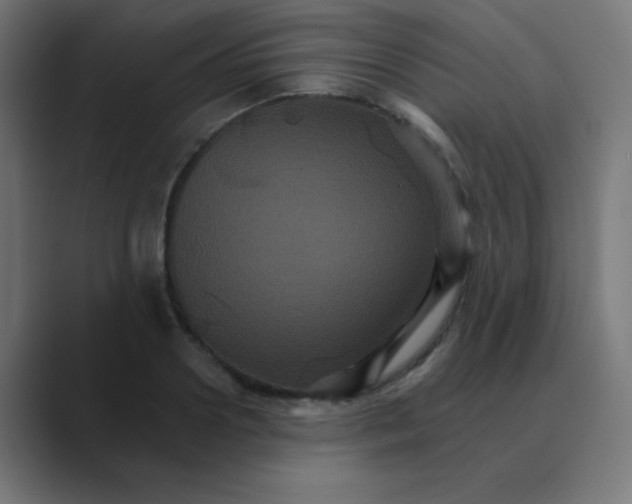 X0000088470938200706191345