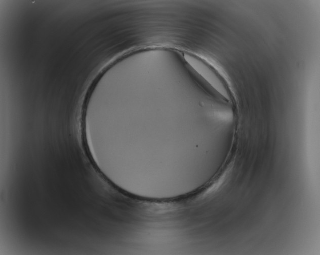 X0000088470941200706191345