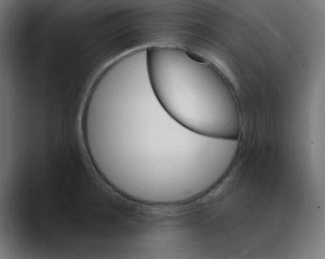 X0000088470944200706191345