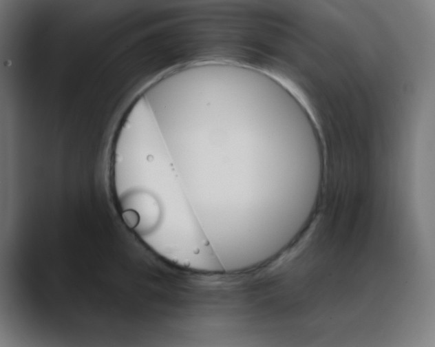 X0000088470949200706191345