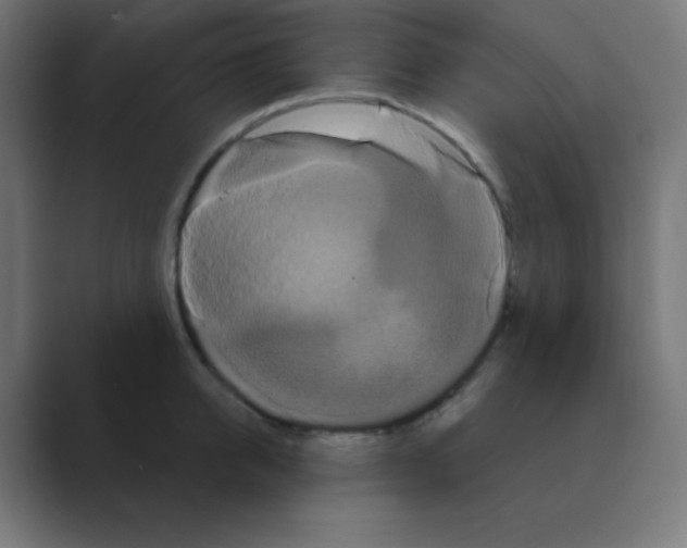 X0000088470950200706191345