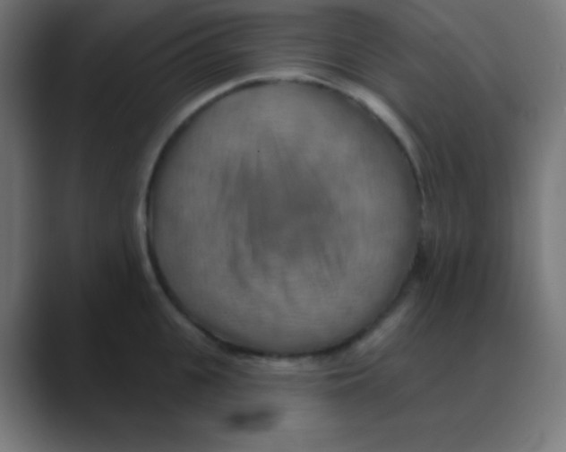 X0000088470951200706191345