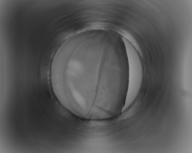 X0000088470954200706191345