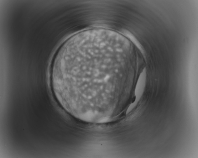 X0000088470955200706191345