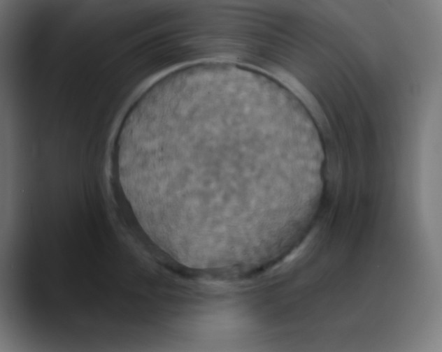 X0000088470956200706191345