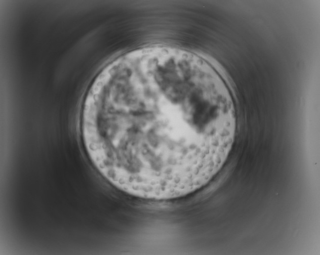 X0000088470957200706191345