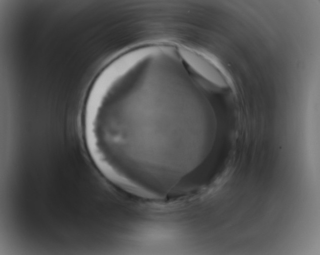 X0000088470959200706191345