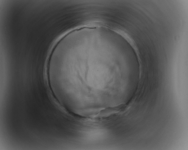 X0000088470960200706191345