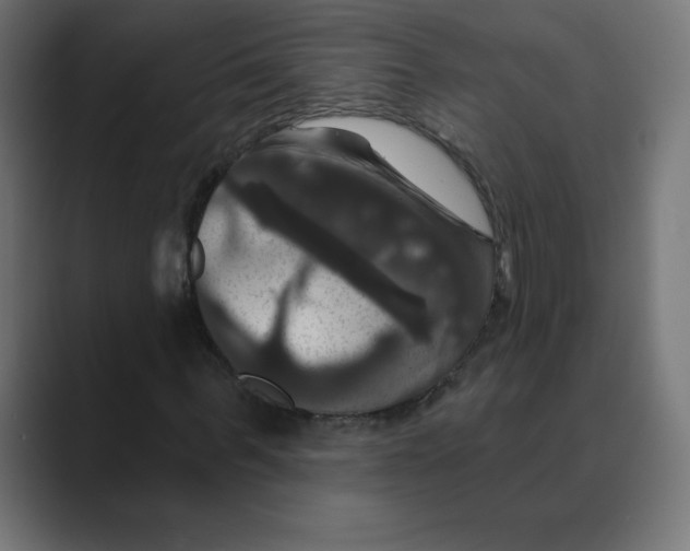 X0000088470963200706191345