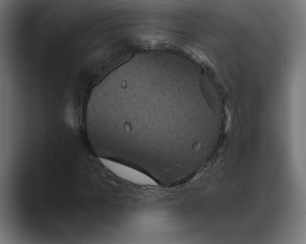 X0000088470965200706191345