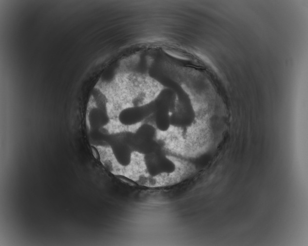 X0000088470967200706191345