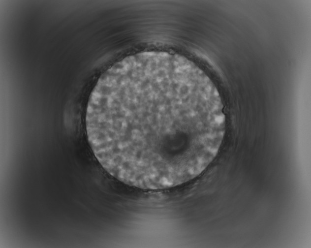 X0000088470968200706191345