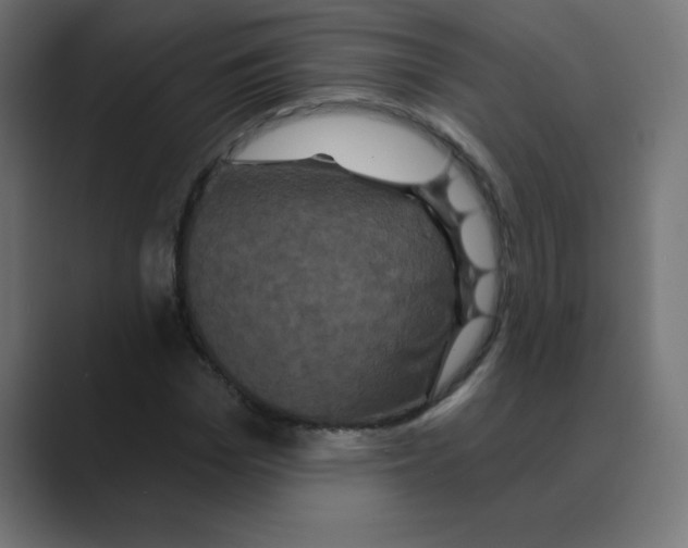 X0000088470969200706191345