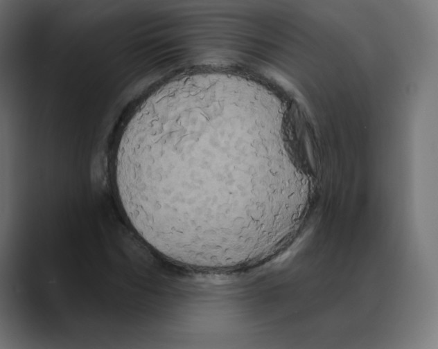 X0000088470970200706191345