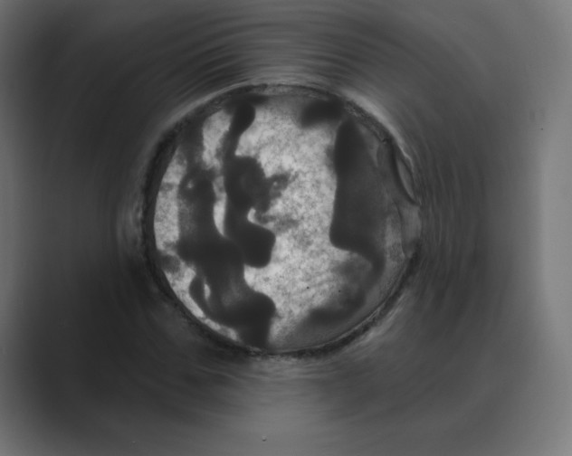 X0000088470971200706191345