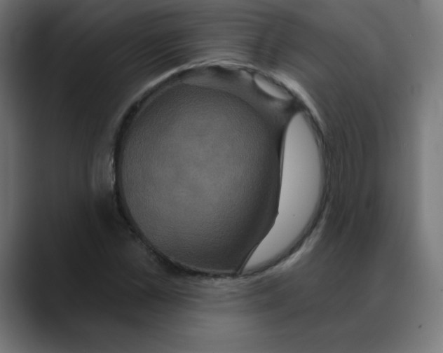 X0000088470973200706191345