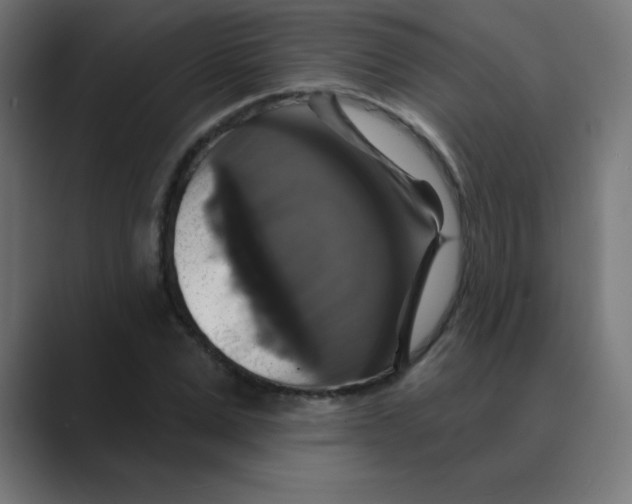 X0000088470975200706191345