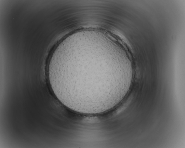 X0000088470978200706191345