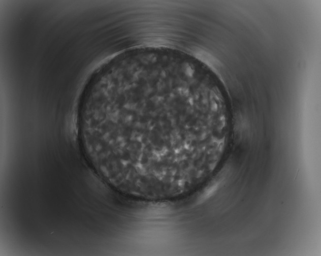 X0000088470979200706191345