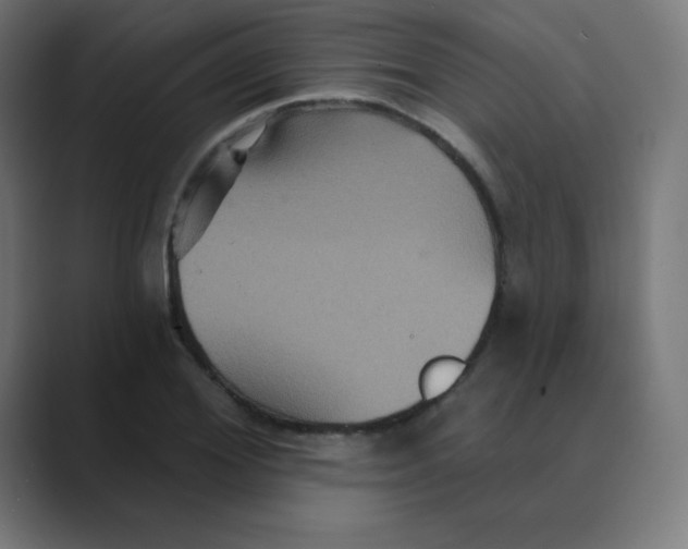 X0000088470980200706191345