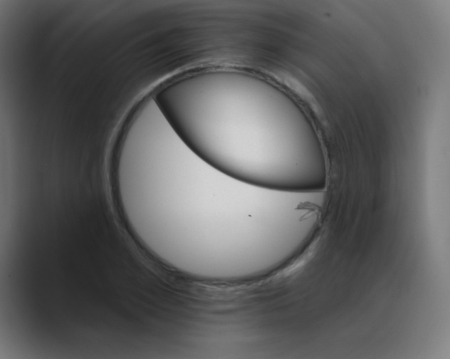 X0000088470981200706191345