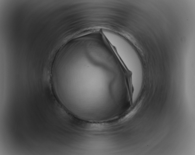 X0000088470985200706191345