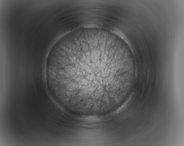 X0000088470986200706191345