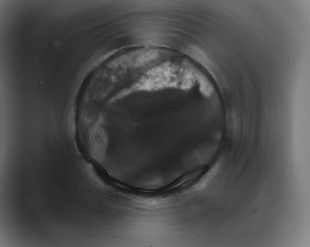 X0000088470987200706191345