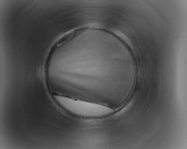 X0000088470989200706191345