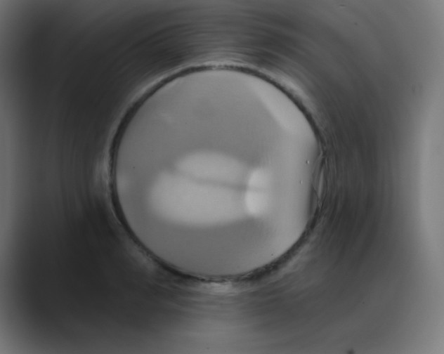 X0000088470990200706191344