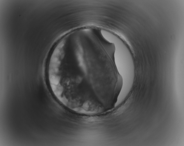 X0000088470991200706191344