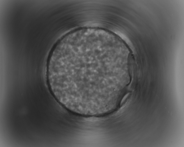 X0000088470992200706191344