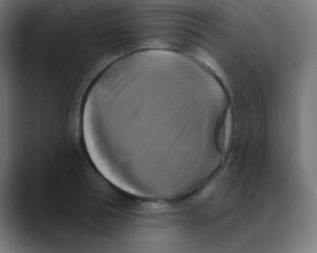 X0000088470994200706191344