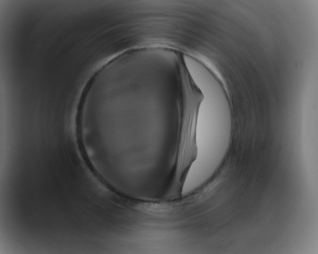 X0000088470995200706191344