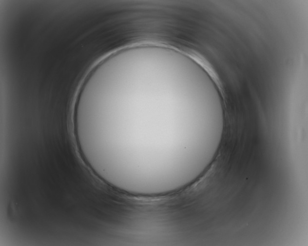 X0000088470996200706191344