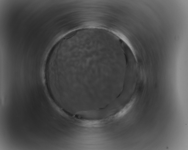 X0000088470997200706191344