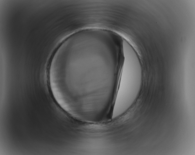 X0000088470998200706191344