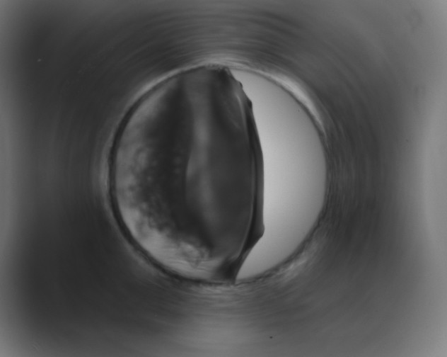 X0000088470999200706191344