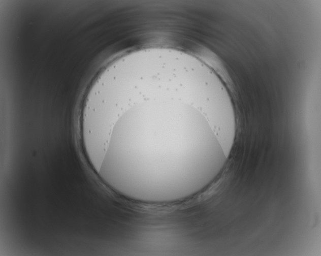 X0000088471000200706191344