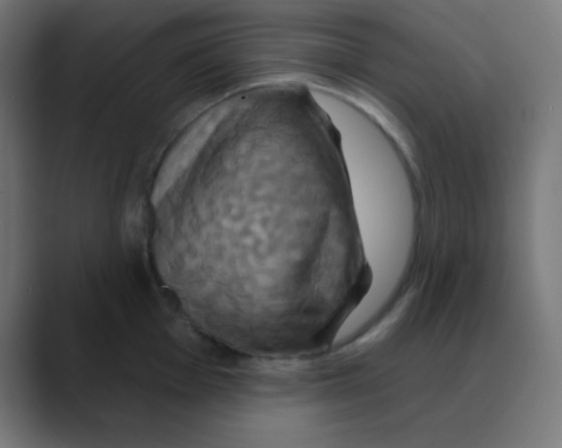 X0000088471001200706191344