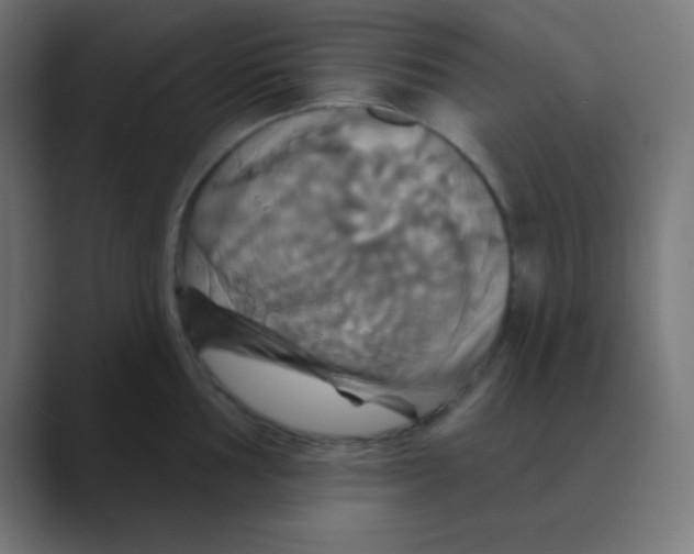 X0000088471002200706191344