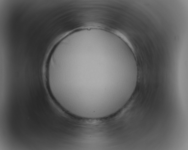 X0000088471003200706191344