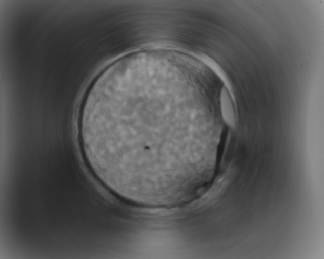 X0000088471005200706191344