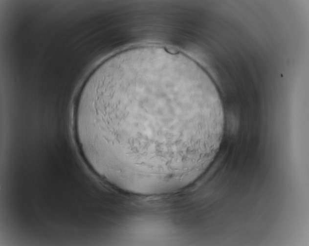 X0000088471006200706191344