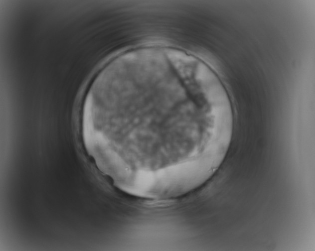 X0000088471008200706191344